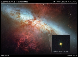 This image of supernova SN 2014J taken by the Hubble Space telescope is stunning
