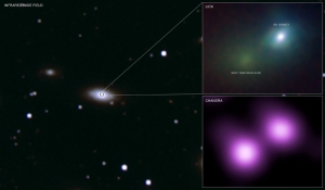 SN 2006gy is the brightest stellar explosion ever recorded and may be a long-sought new type of supernova, according to observations by NASA's Chandra X-ray Observatory (bottom right panel) and ground-based optical telescopes (bottom left). This discovery indicates that violent explosions of extremely massive stars, depicted in the artist's illustration (top panel), were relatively common in the early universe. These data also suggest that a similar explosion may be ready to go off in our own Galaxy.